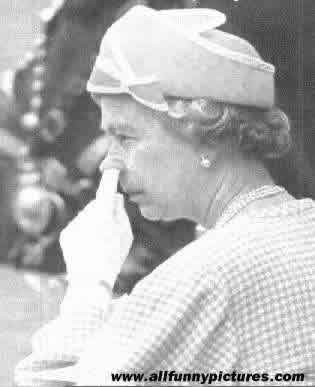queennose.jpg